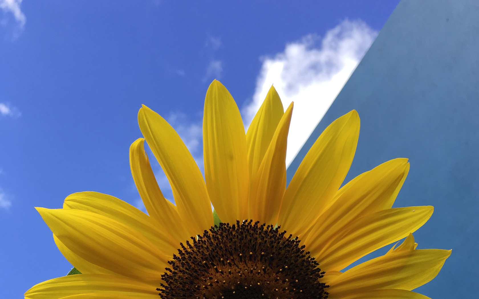 Developer's cover image