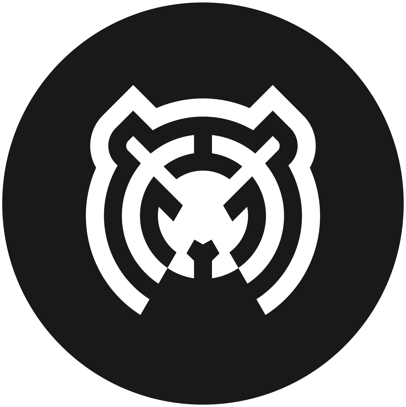 Developer's cover image
