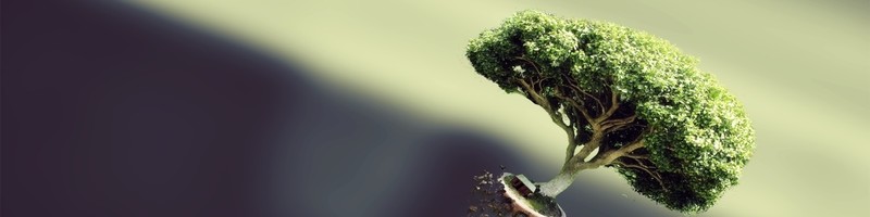 Developer's cover image