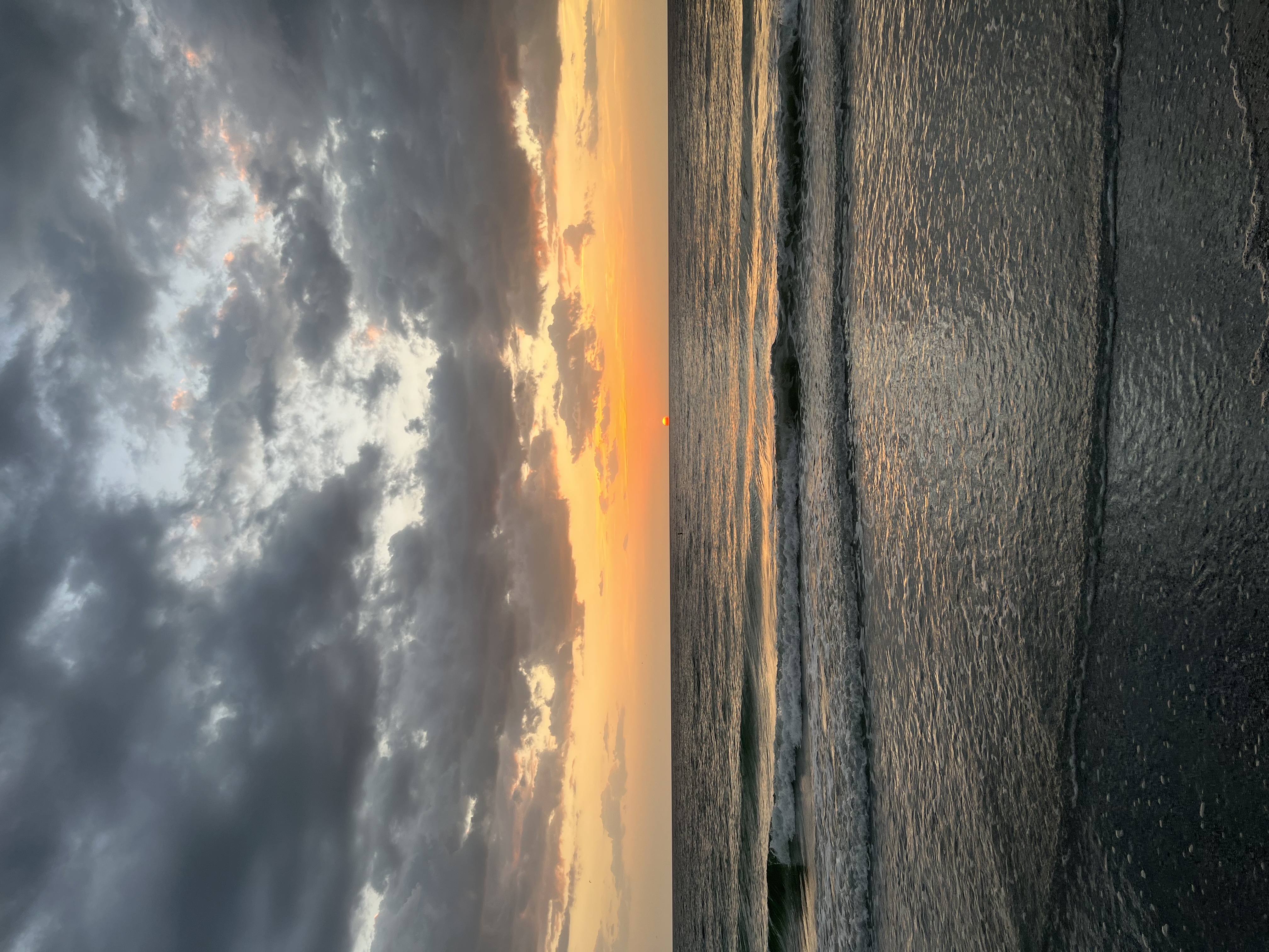 Developer's cover image